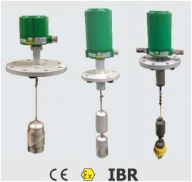 Displacer Type Magnetic Level Switch - DS